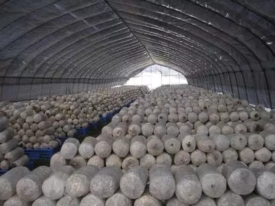 全國農產品及加工副產物18種綜合利用經典模式，農人必看