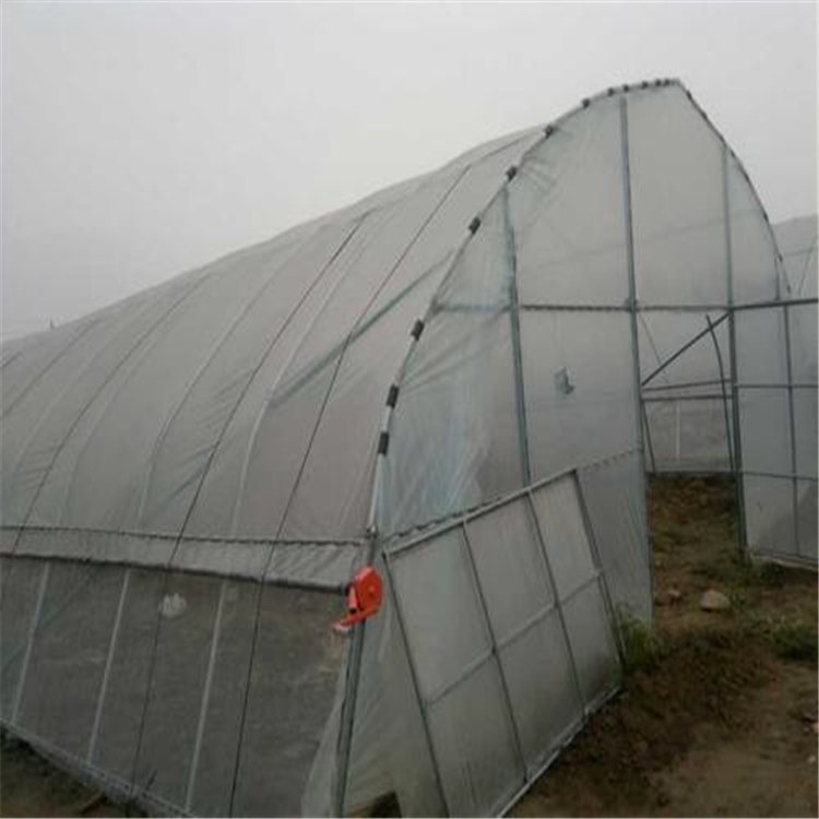 福建大棚薄膜供貨廠家與海鹽蔬菜大棚建設(shè) 旭航溫室打造專(zhuān)業(yè)農(nóng)業(yè)設(shè)施解決方案